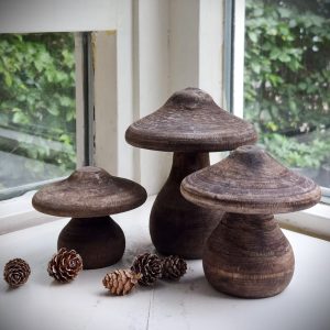 Set van drie bruine houten paddenstoelen