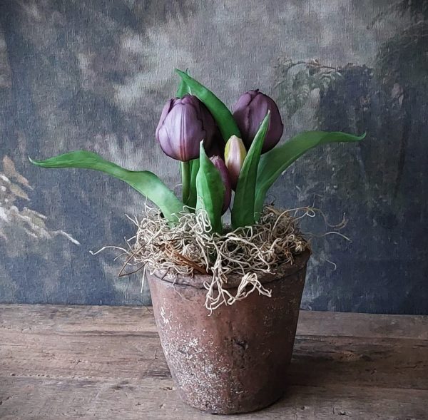 Bruine stenen pot met paarse kunsttulp en tillandsia