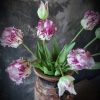 Bosje Parrot kunsttulpen paars - Afbeelding 2
