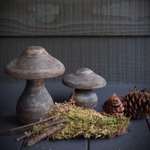 Set paddenstoelen bruingrijs