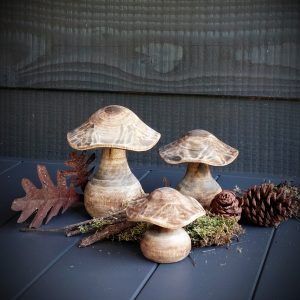 Houten paddenstoelen bruin