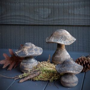 Houten paddenstoelen bruingrijs