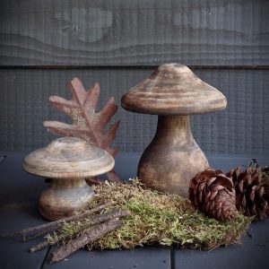 Set paddenstoelen bruin