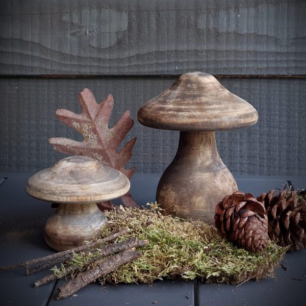 Set paddenstoelen bruin
