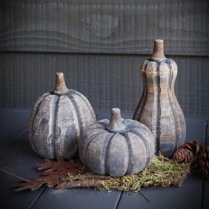 Drie pompoenen bruingrijs