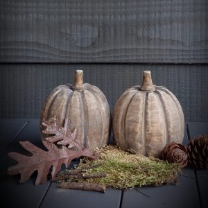 Set pompoenen bruingrijs