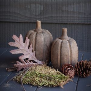 Set pompoenen van hout bruin