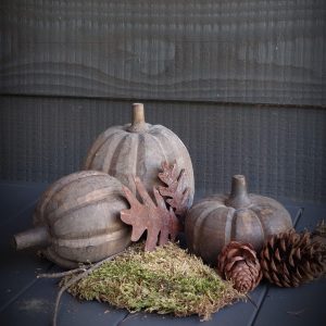 Pompoenen bruin van hout