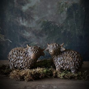 Set Schotse hooglanders