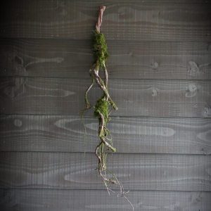 Mostak kunst XL, maar liefst 75 cm!