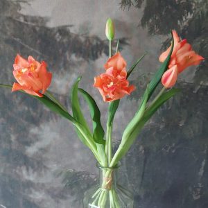 Parrot Tulpenbos ''oranje''