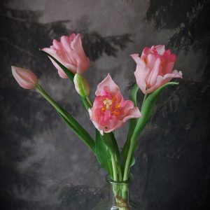 Parrot tulpenbos ''roze''