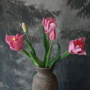 Parrot Tulpenbos ''donkerroze''