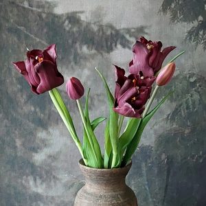 Parrot Tulpenbos ''paars''