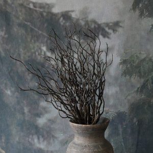 Bosje bessentakken ''bruin''