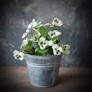 Kunst viooltjes ''wit cream''